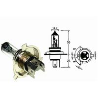 H6 CBR250 12V 60/35W bulb