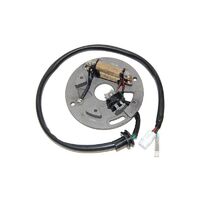 STATOR YZ250 (90-95) WR250 (90-97)