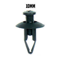 Expandable Plastic Plug 10MM(10 Bag)