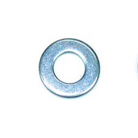 Flat Washers 8MM (100 Bag)