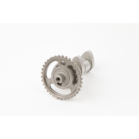 Camshaft Exhaust