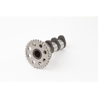 Camshaft Intake Stage 3
