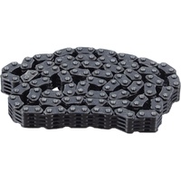 Cam Chain