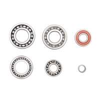 Bearings - Transmission Rebuild Kit 