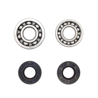 Bearings - Main & Seal Kit 