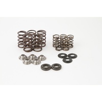 Valve Spring Kit YAM RAPTOR660 01-05 Includes valve springs, base washers, and retainers. Required with Stage 2 and stroker Raptor cams (part numbers 
