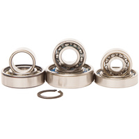 Hot Rods Transmission Bearing Kit H-TBK0034 for Kawasaki KX100 KX 100 2001-2004