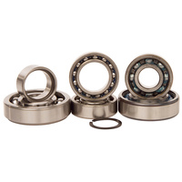 Hot Rods Transmission Bearing Kit H-TBK0050 for Suzuki RM250 RM 250 2001-2008
