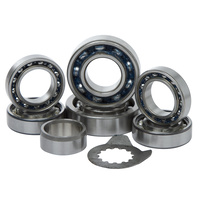 Hot Rods Transmission Bearing Kit