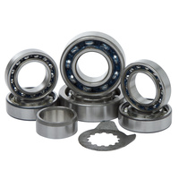 Hot Rods Transmission Bearing Kit H-TBK0065 for Yamaha YZ250 YZ 250 1999-2016