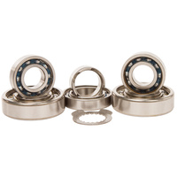 Hot Rods Transmission Bearing Kit H-TBK0066 for Yamaha YZ250F YZ 250F 2001-2003