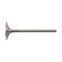 Hot Cams Valve Intake Titanium for Honda CRF250X 2004 to 2017