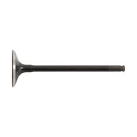 Hot Cams Valve Intake Steel