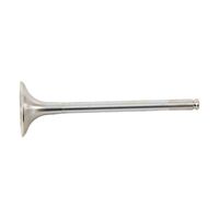 Hot Cams Valve Exhaust Steel for BETA RR525 4T 2005 to 2009