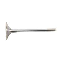 Hot Cams Valve Intake Steel