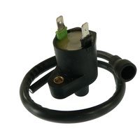 Arrowhead for Honda TRX 250TM 1997-2001 Ignition Coil IHA0003