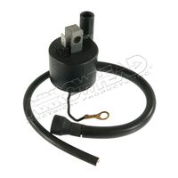 Ignition Coil 160-01055