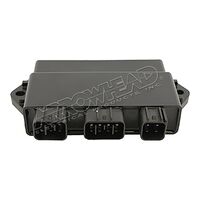 CDI Module 160-02091