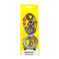 Starter Motor Brush Kit 414-54034