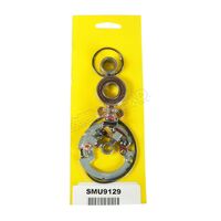 Starter Motor Brush Kit 414-54041