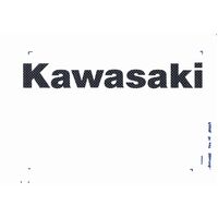 Kawasaki Carbon Fibre Sticker (1 Pair)