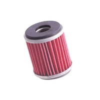 K & N Oil Filter KN-141