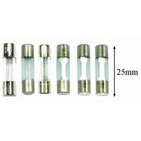 One 10Amp Glass Fuse
