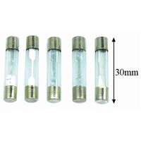 One 15Amp 30MM Glass Fuse 