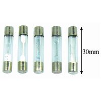 One 30Amp 30MM Glass Fuse