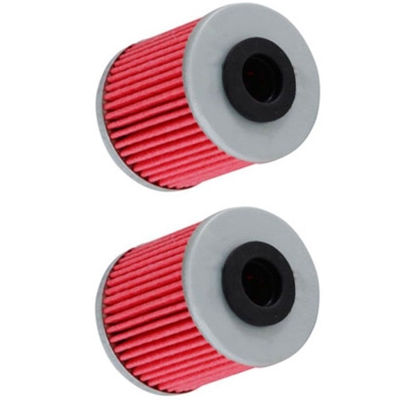 Two OIL FILTERS for Suzuki RMZ250 2004 2005 2006 2007 2008 2009 2010 to 2019