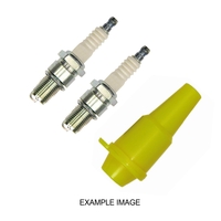 NGK SPARK PLUGS TWO (2) PACK + HOLDER CR9E for SUZUKI DRZ250 2001 - 2012