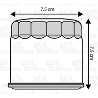 OIL FILTER for NORTON INTERSTATE