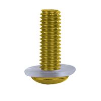 OXFORD SCREEN SCREWS GLD (NEW) Set of 8