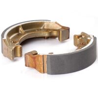 Premier Brake Shoes w/ springs