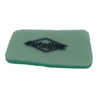 Twin Stage Air Filter 