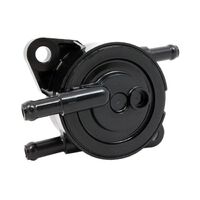 Quantum Frame-Mounted Mechanical  Fuel Pump
