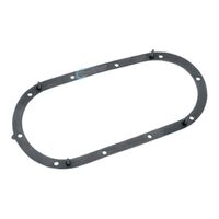 Quantum Fuel Pump Tank Seal Gasket