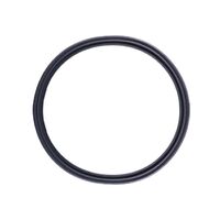 Quantum Fuel Pump Tank Seal Gasket