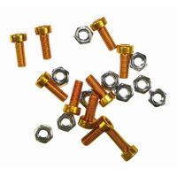 Rego Label Holder Screw Kit Gold 