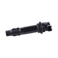 IGNITION STICK COIL ASSTD YAM RFR FITMENTS (RM06036-S318)