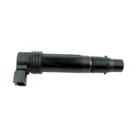 IGN STICK COIL FOR KAWASAKI NINJA ZX-6R 03-15  (RM06042)