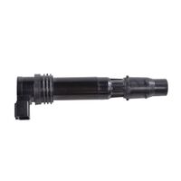 IGN STICK COIL KAW NINJA ZX-6R ZZR 600 00-08 (RM06083)