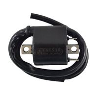 IGN COIL ASSTD SUZ MODELS