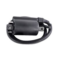 EXTERNAL IGNITION COIL ASSTD KAW / SUZ 2001-2020 (RM06176)