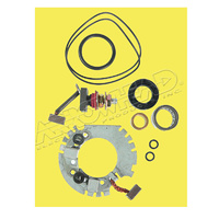 Starter Motor Brush Repair