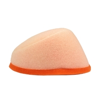 Twin Air Extreme/Dust/Sand Air Filter