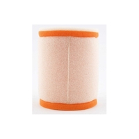 Twin Air Air Filter - Suzuki SP 370