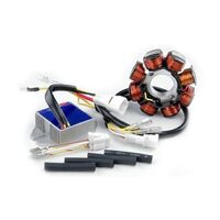 Trail Tech Elec System Kit 100w DC High Output for BETA 430 RR 4T 2015 to 2017