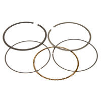 Piston Ring Set SUITS V-23104100