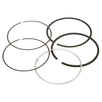 Piston Ring Set SUITS V-23103100